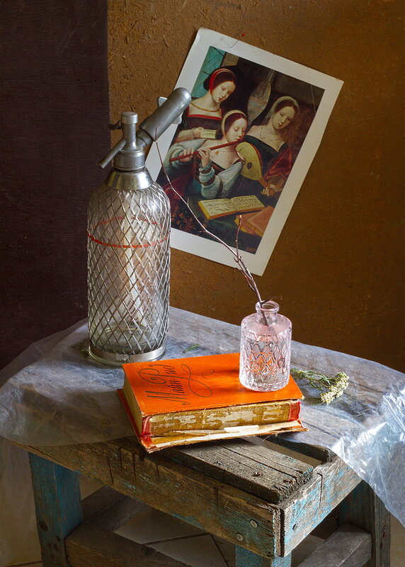 С книгой вариант 2 - Наталья S