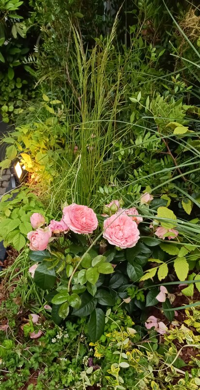 украшения фестиваля - Галина R...