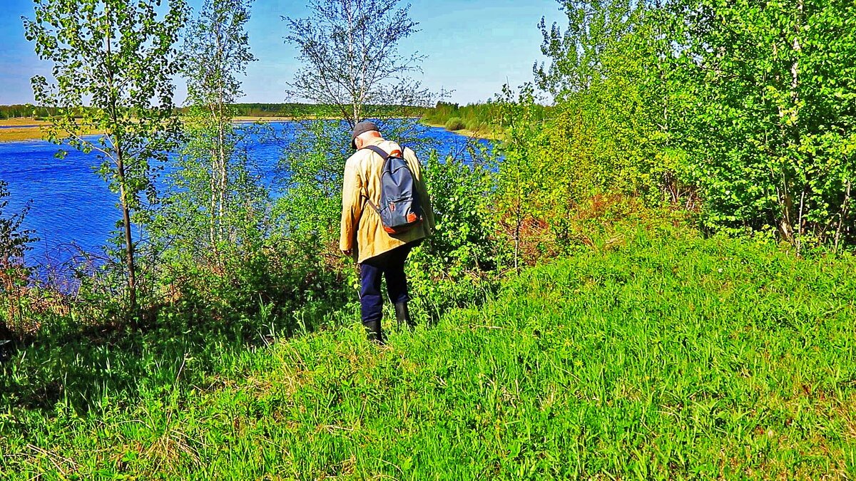 Июнь...В зелено-голубом царстве протоки Чеускина! - Владимир 