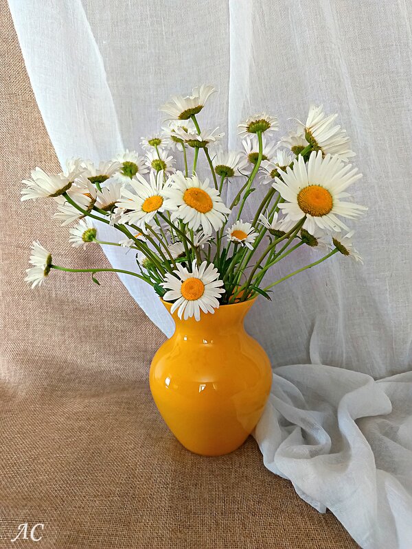 Красота как она есть. - Любовь Сахарова