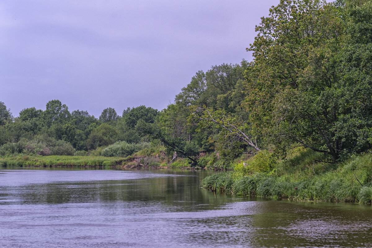 Лето на реке - Сергей Цветков