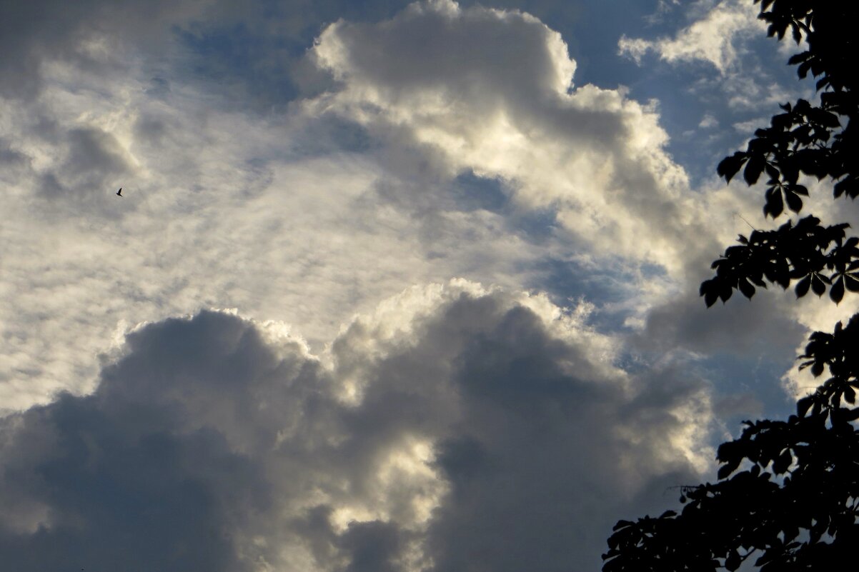 Уходят тучи - Татьяна Смоляниченко