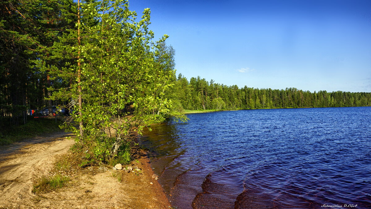 лесное озеро - Ольга Cоломатина