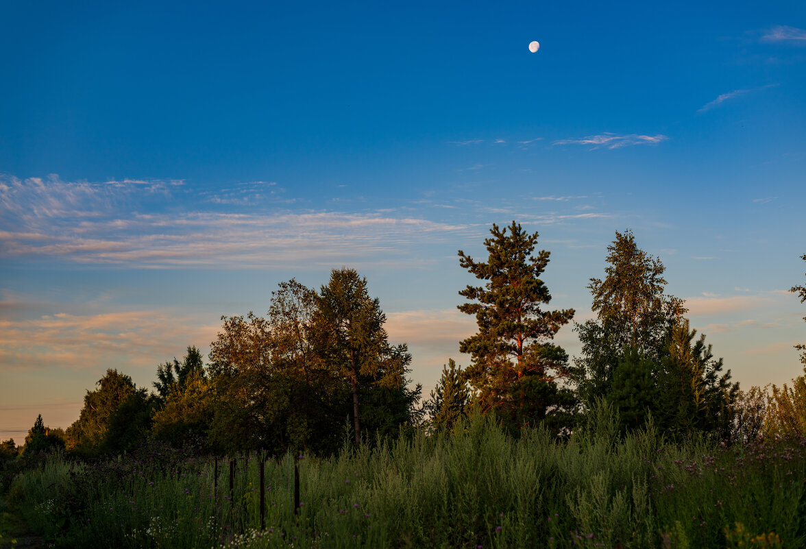 Рассвет - Петр 