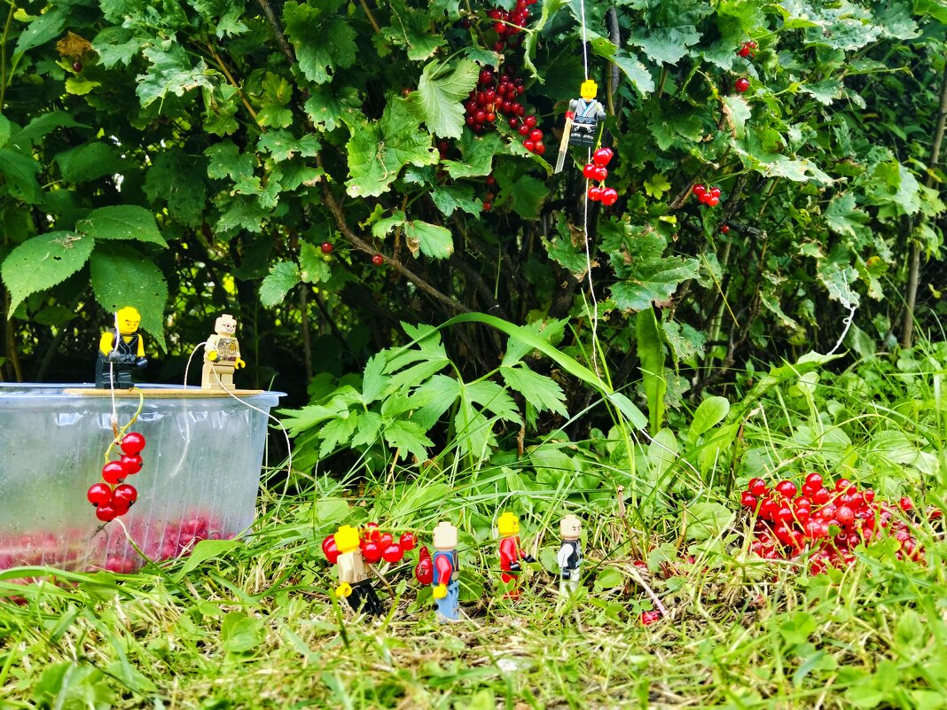 Рабы на плантации Красной смородины - Шу Юншен Рабы на плантации Красной смородины - Шу Юншен