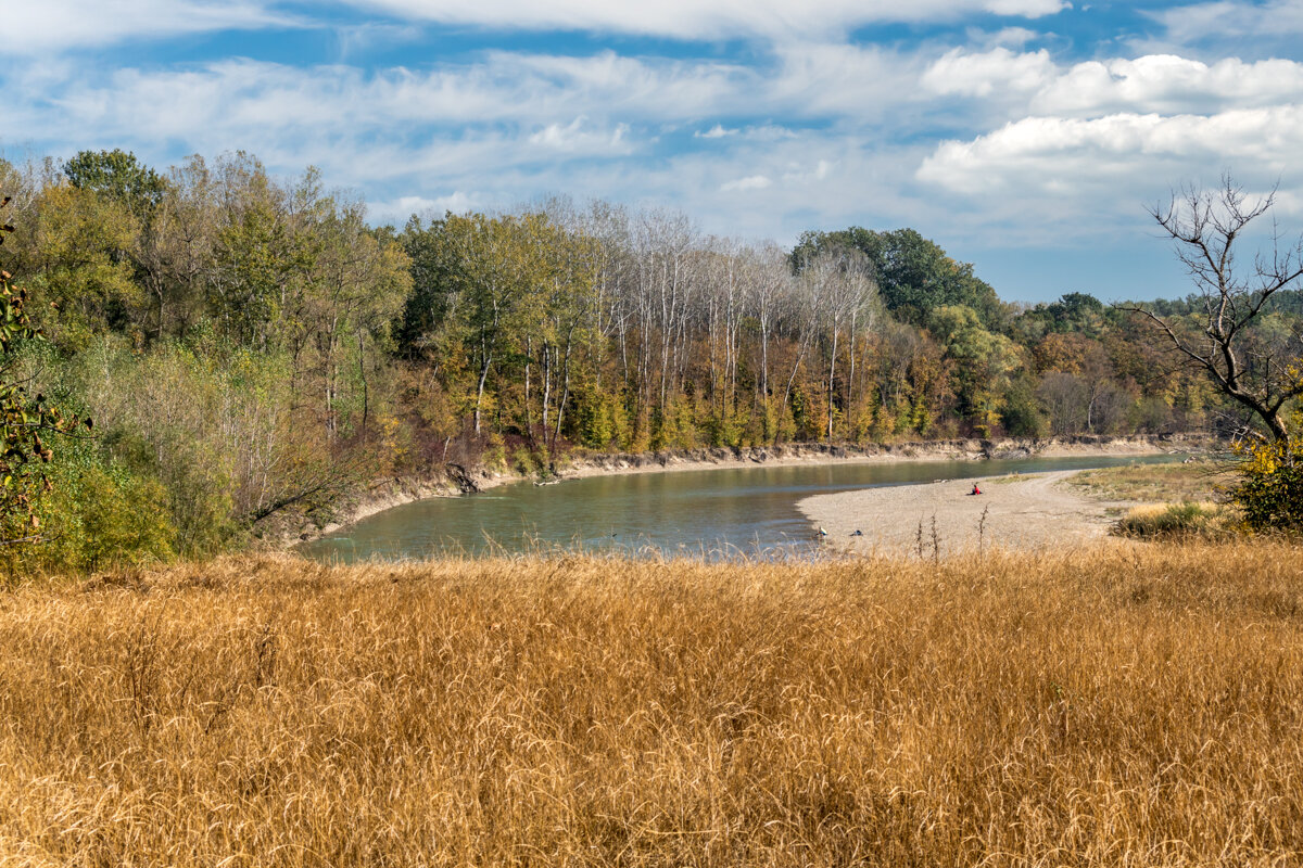 Осень - Игорь Сикорский