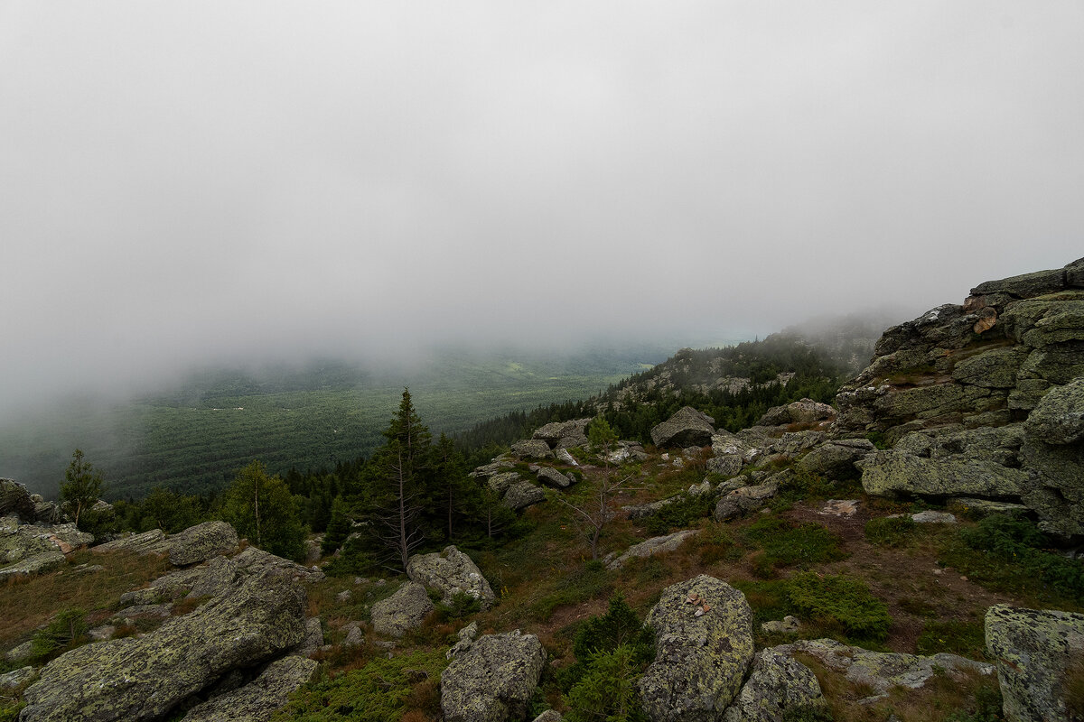 ... - Damien Dutch ... - Damien Dutch