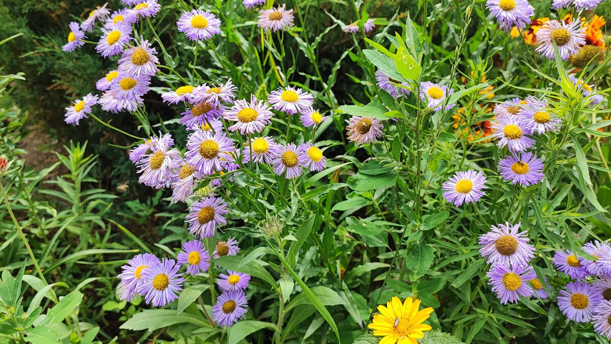 ,,, - Сергей Тимоновский