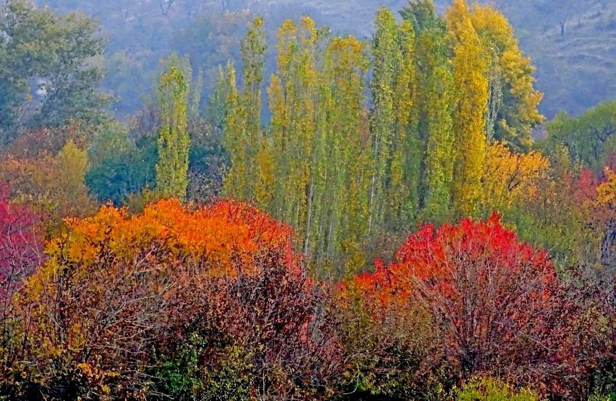 ПО НИЗАМ. - Виктор Осипчук