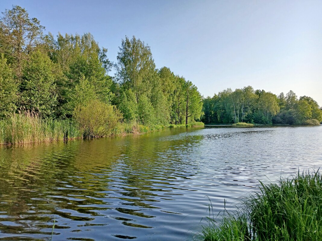 Александровские пруды. - Лия ☼ Александровские пруды. - Лия ☼