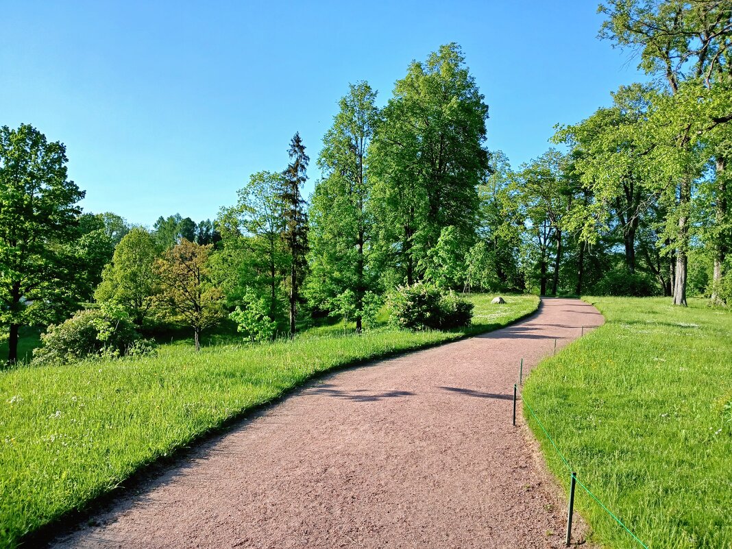 Парковая аллея. - Лия ☼ Парковая аллея. - Лия ☼