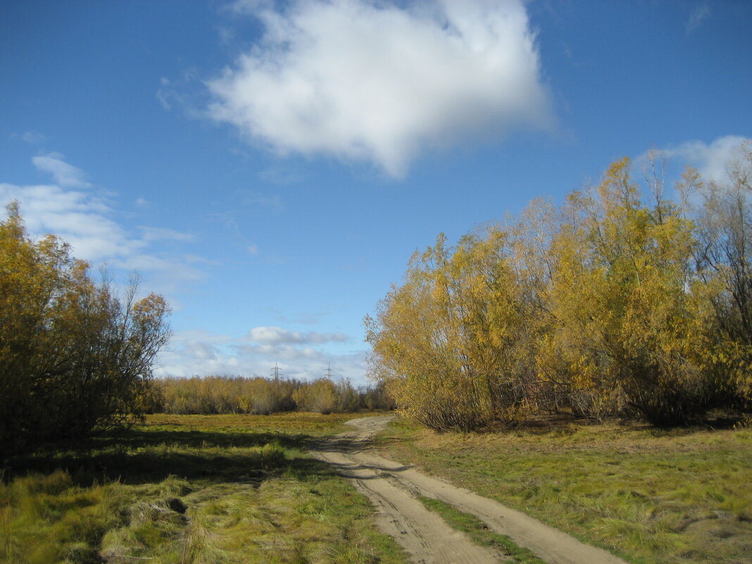 Осень - Anna Ivanova Осень - Anna Ivanova