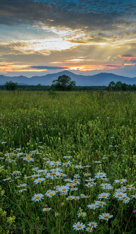 Закатное. - Alexander Fedotov