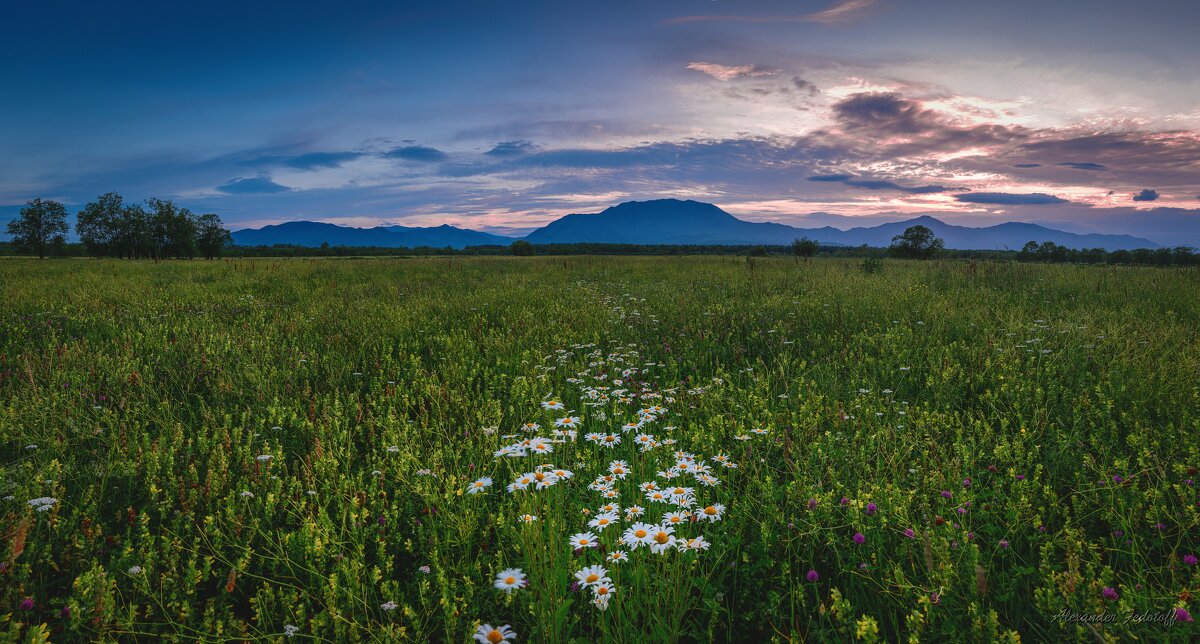 Почти розовый вечер - Alexander Fedotov