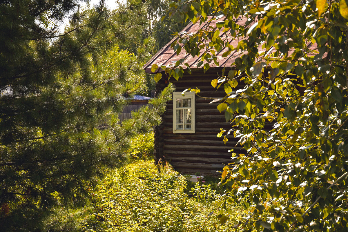 пейзаж - סּﮗRuslan HAIBIKE Sevastyanovסּﮗסּ