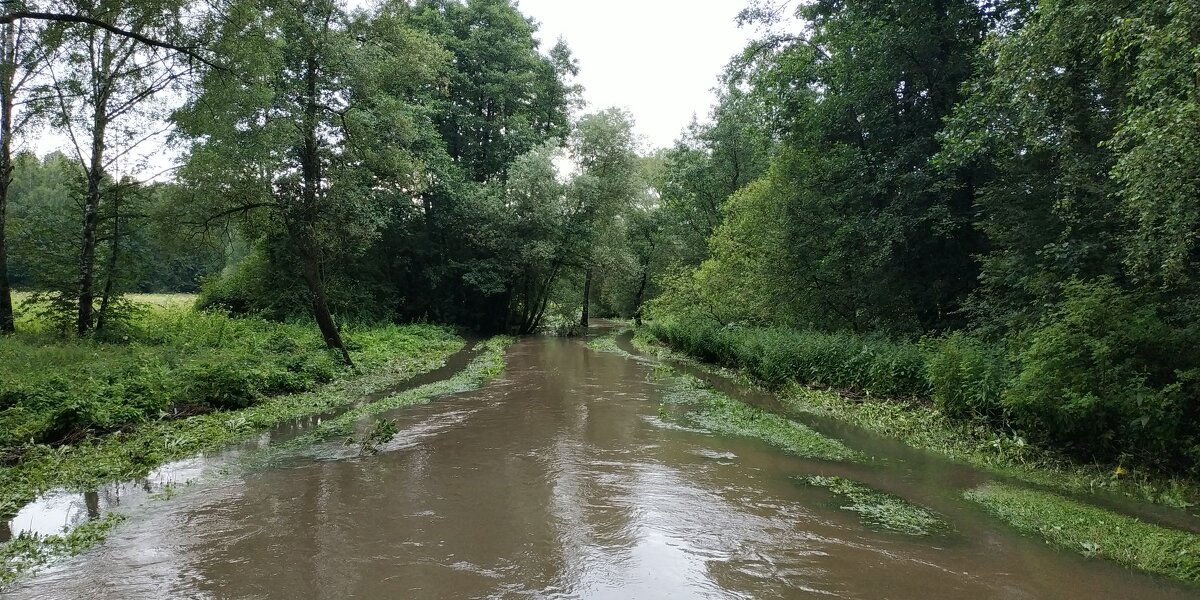 Будете смеяться, но под Дождь я НЕ попал :-) - Андрей Лукьянов