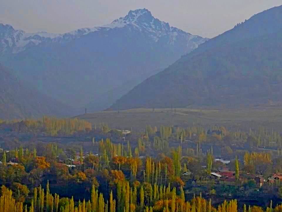 ПО НИЗАМ. - Виктор Осипчук