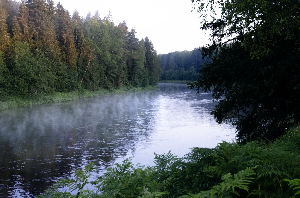 Волга - Валерий Пославский