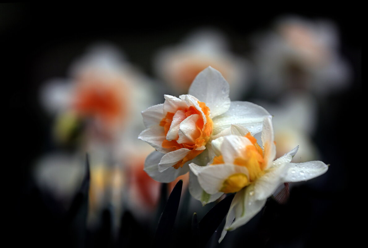 Апрель - Михаил Бибичков