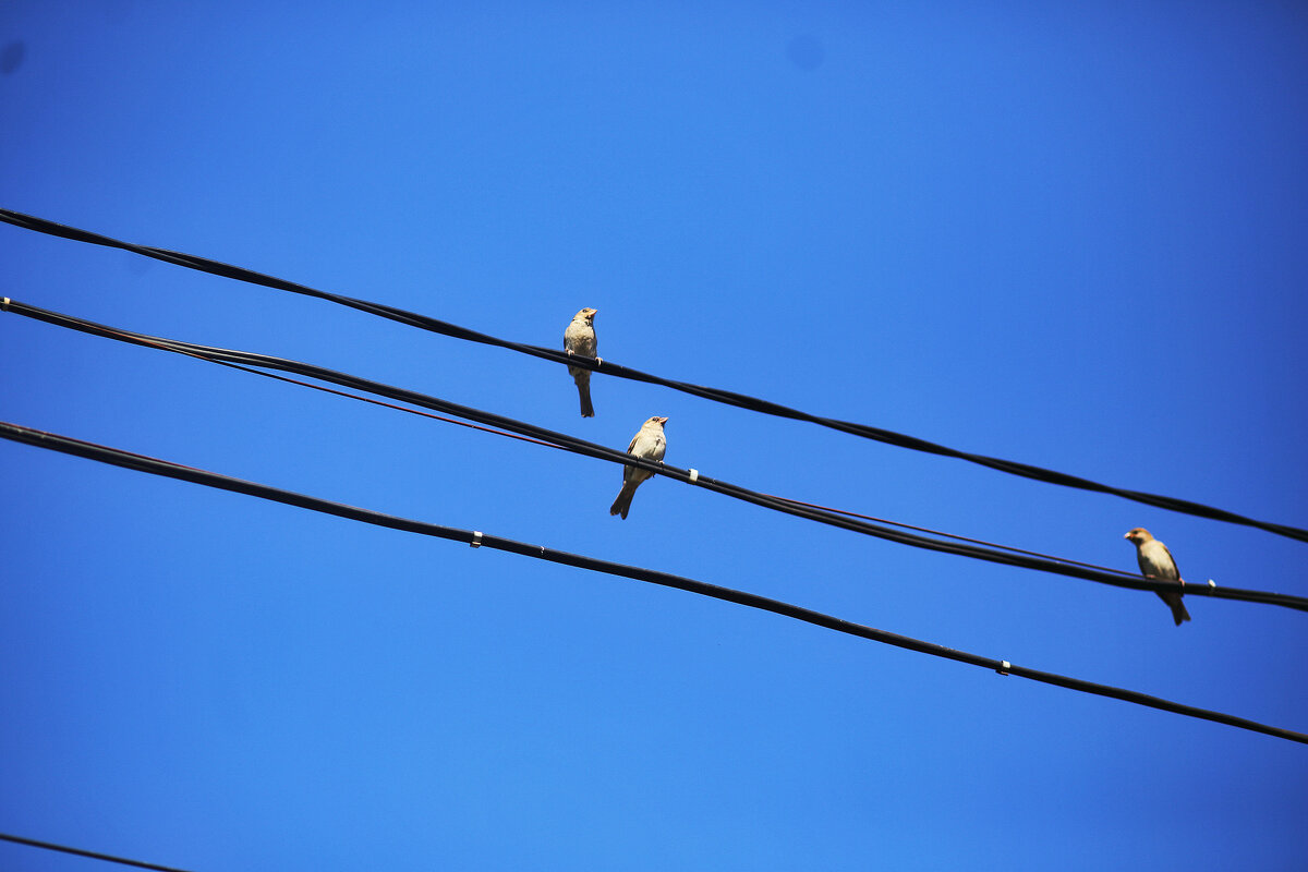 Летим! А куда летим? - Юрий Гайворонскiий