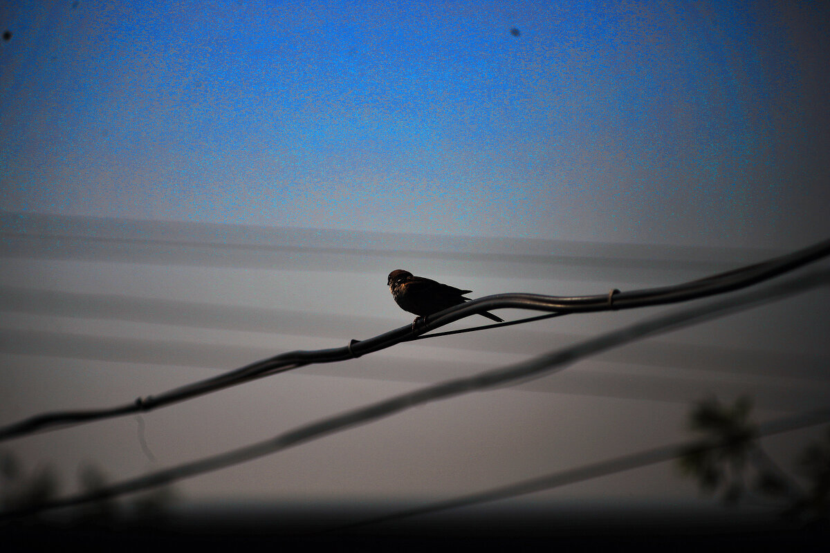 На фоне неба - Юрий Гайворонскiий