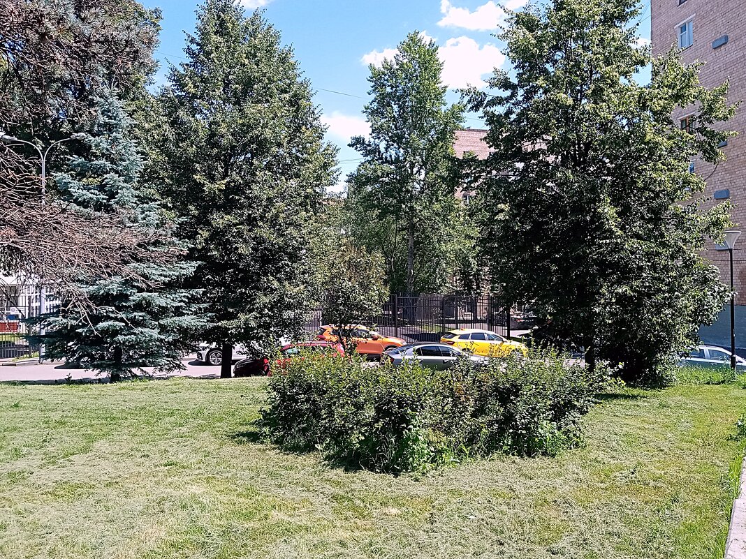 Московский двор. - Владимир Драгунский