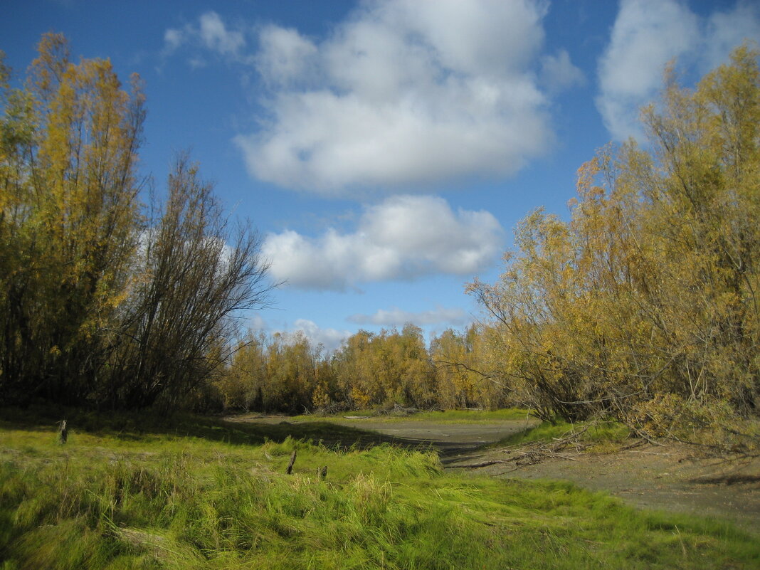 Осень - Anna Ivanova