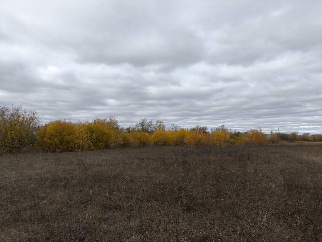 Осень - Anna Ivanova