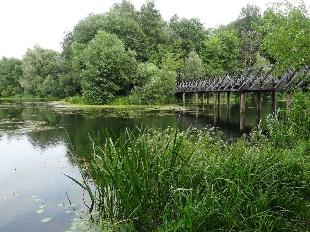 Мостик - Лидия Бусурина