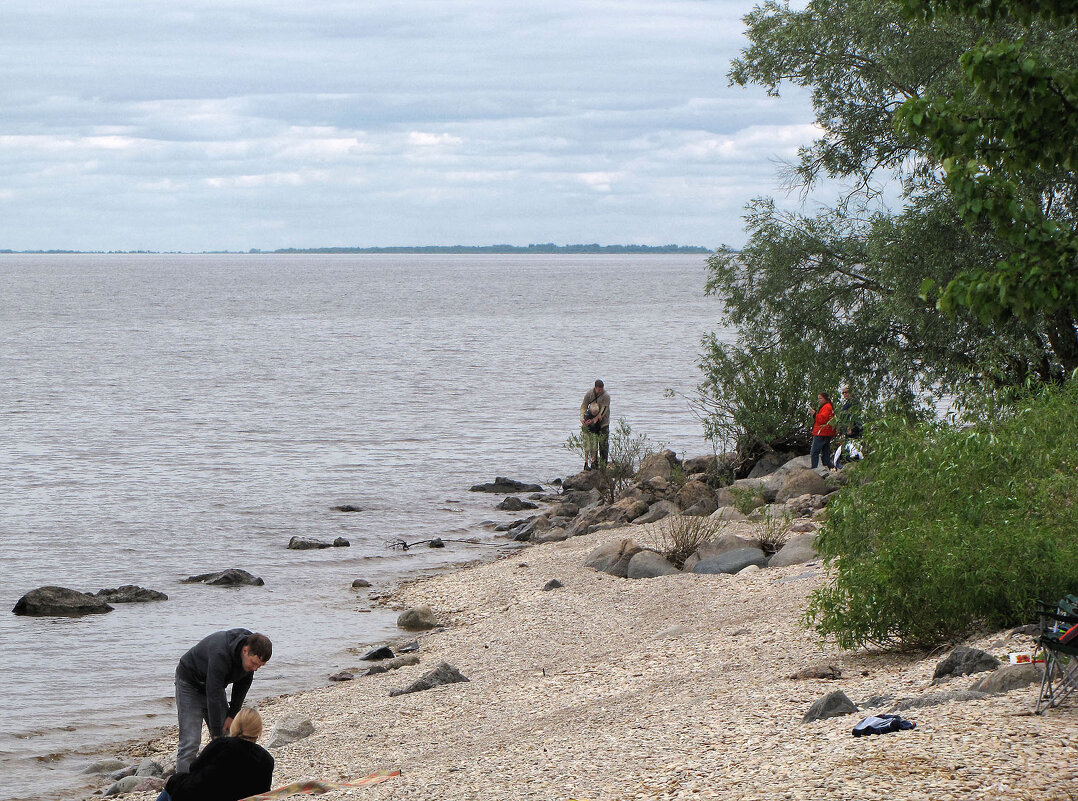 На озере Ильмень - Александр Ильчевский 
