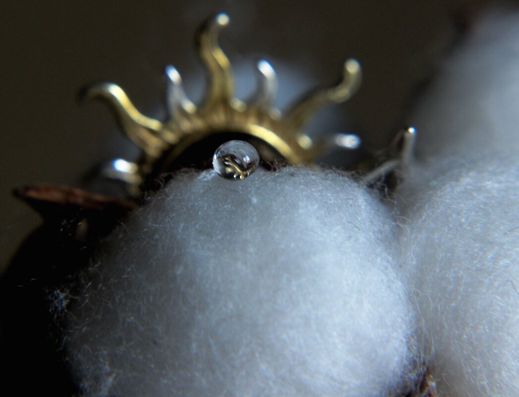 Воспоминания о Калининграде - Галина 