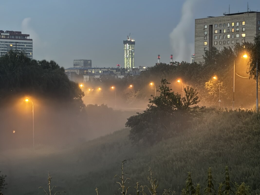 Туман после дождя - Анна Камс