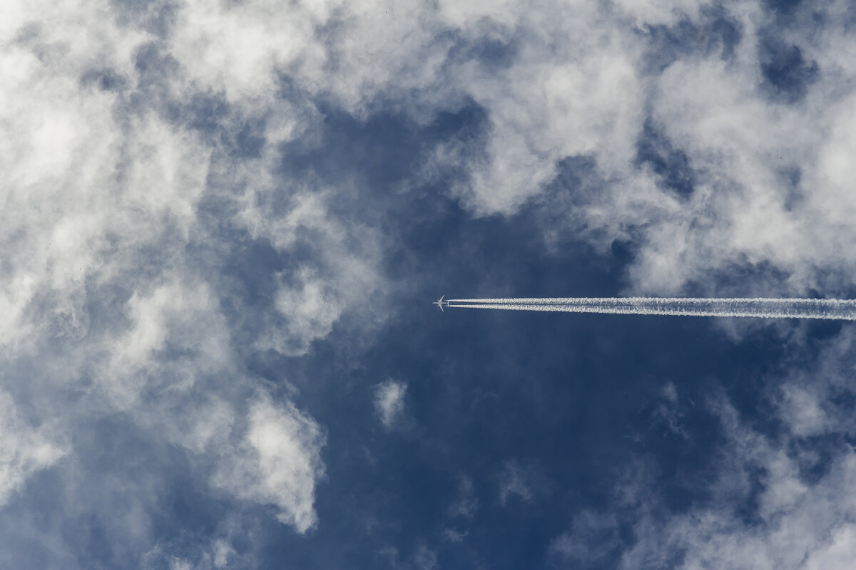 полет - Алексей Булак