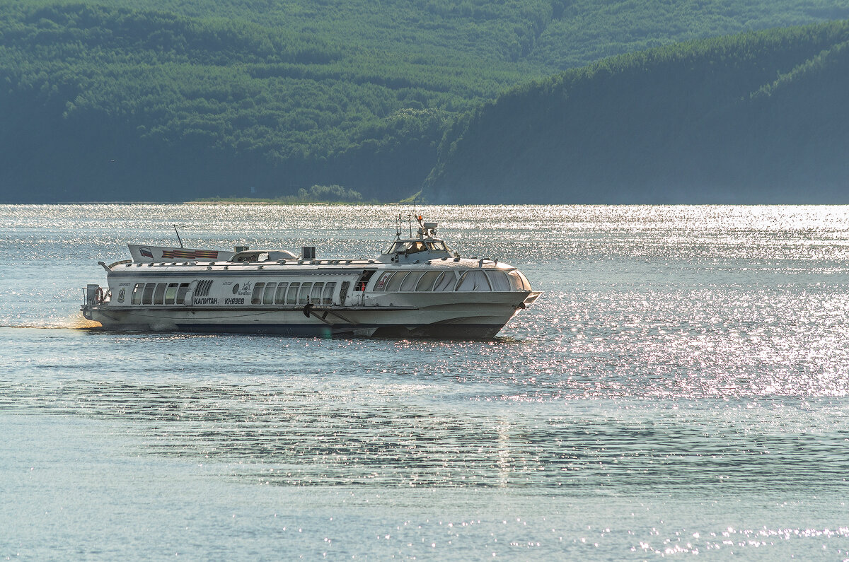 Уходит по Амуру - Виктор Иванович Чернюк