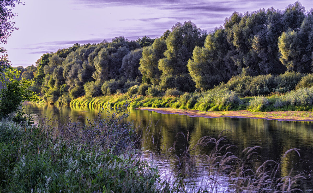Лето на Клязьме - Сергей Цветков