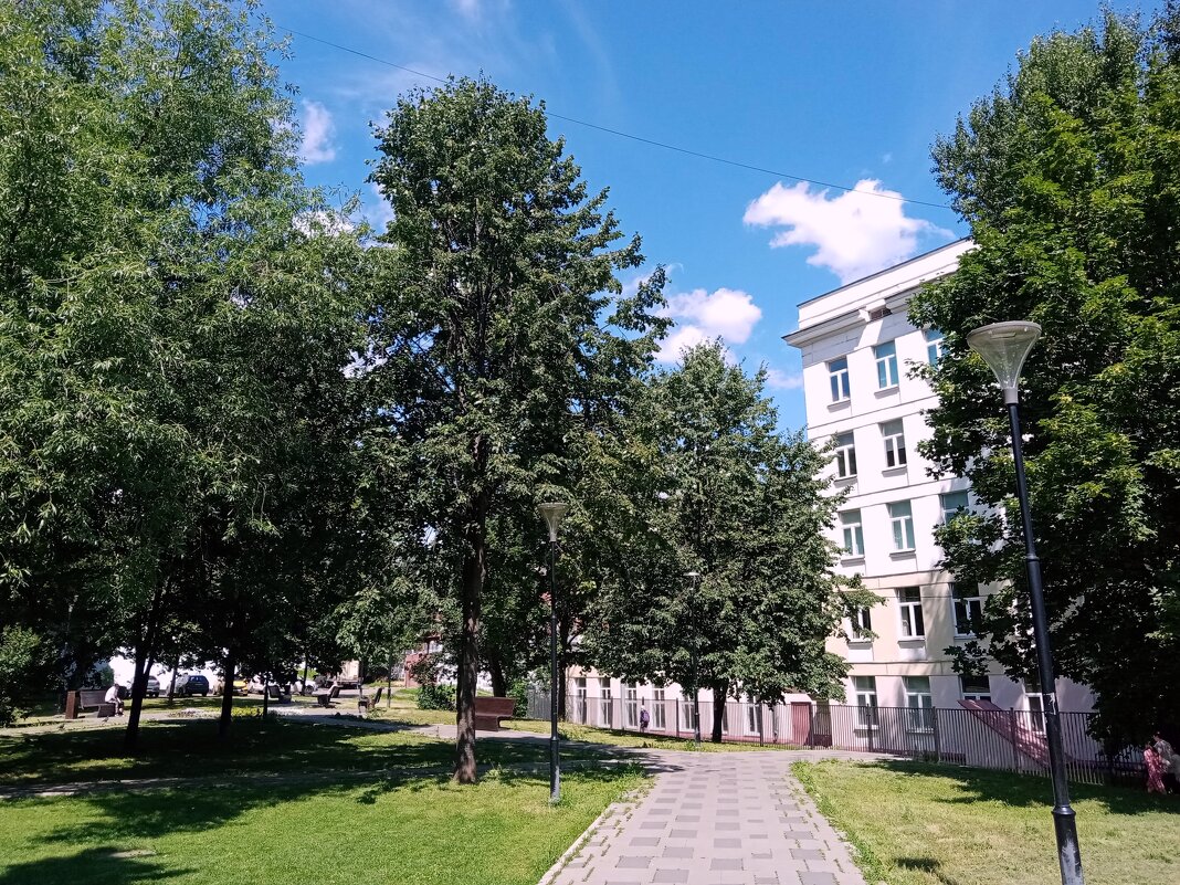 Московский двор. - Владимир Драгунский