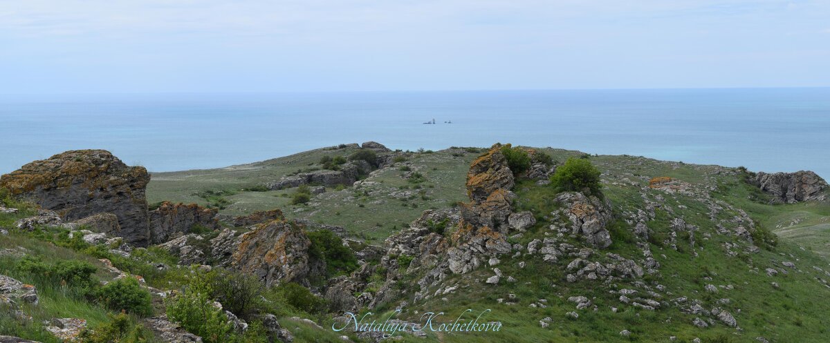 Природа Крыма - Amazing Cosmea