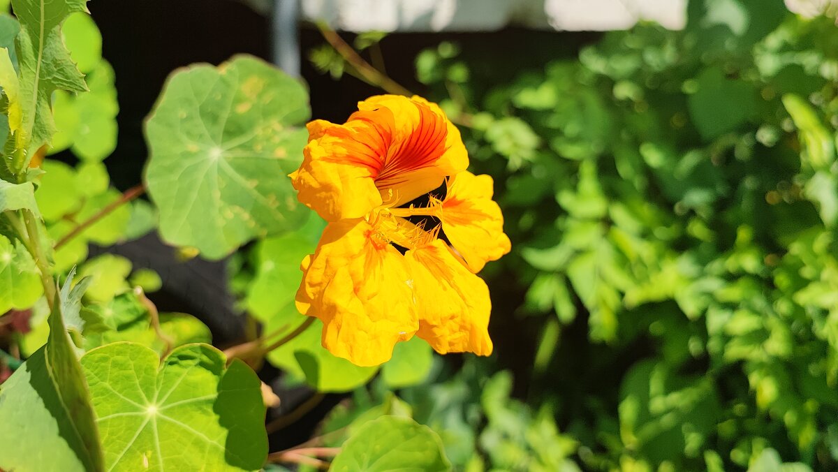 ,,, - Сергей Тимоновский