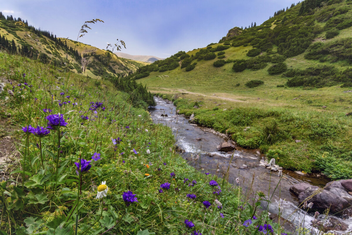 Берега горной речушки - LudMila Берега горной речушки - LudMila