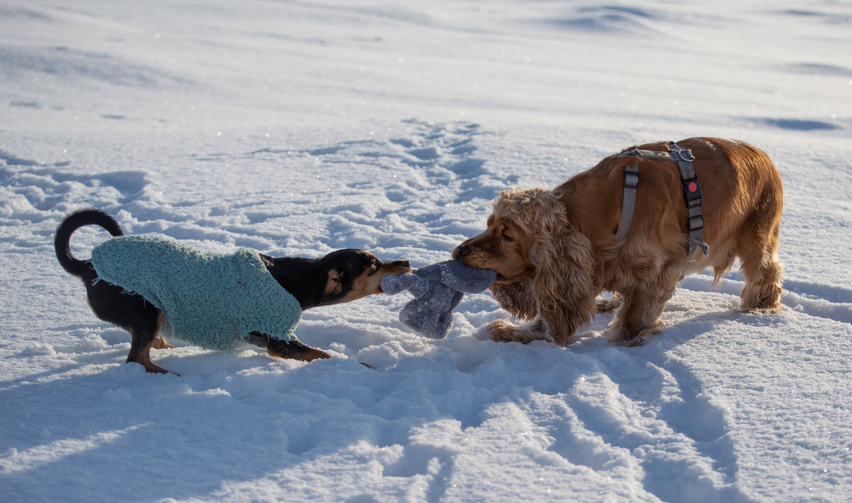 перетяжки - Павел Харлин перетяжки - Павел Харлин