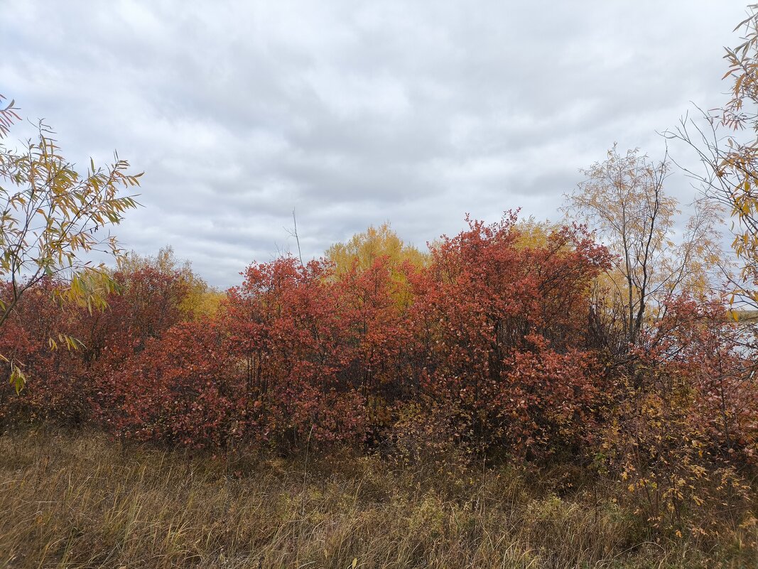 Осень - Anna Ivanova