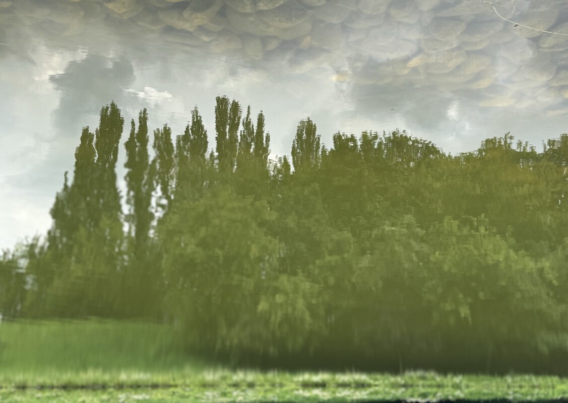 Дождливое небо - Анна Камс Дождливое небо - Анна Камс