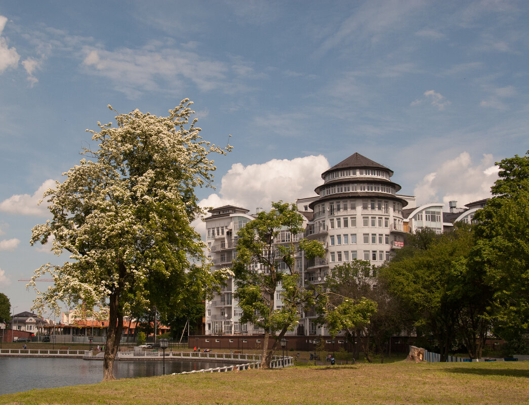 Калининград - Андрей 