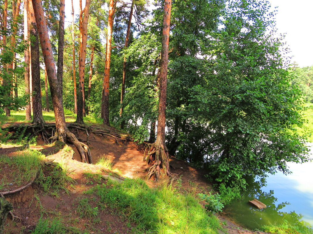 На берегу озера - Андрей Снегерёв