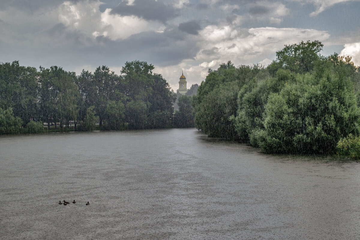 Дождь. Ершово. - Екатерина Рябинина