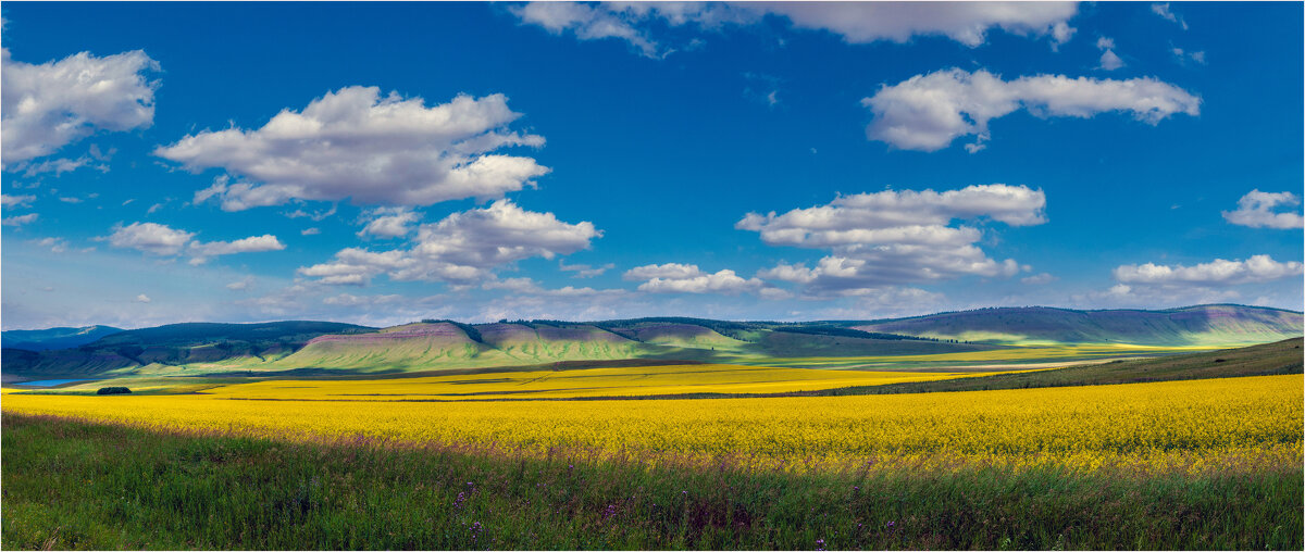 Родные просторы - Алексей Мезенцев