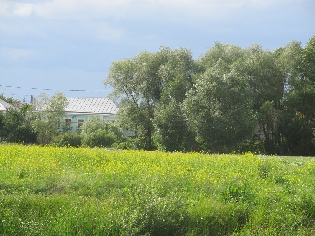 за городом - Елена Шаламова