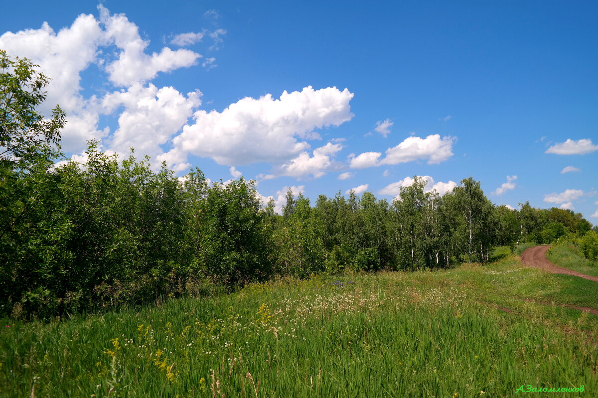 В поисках грибных мест... - Андрей Заломленков