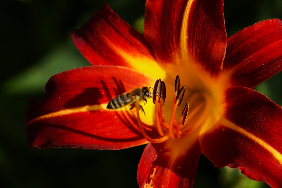 Доброе утро - Юрий. Шмаков