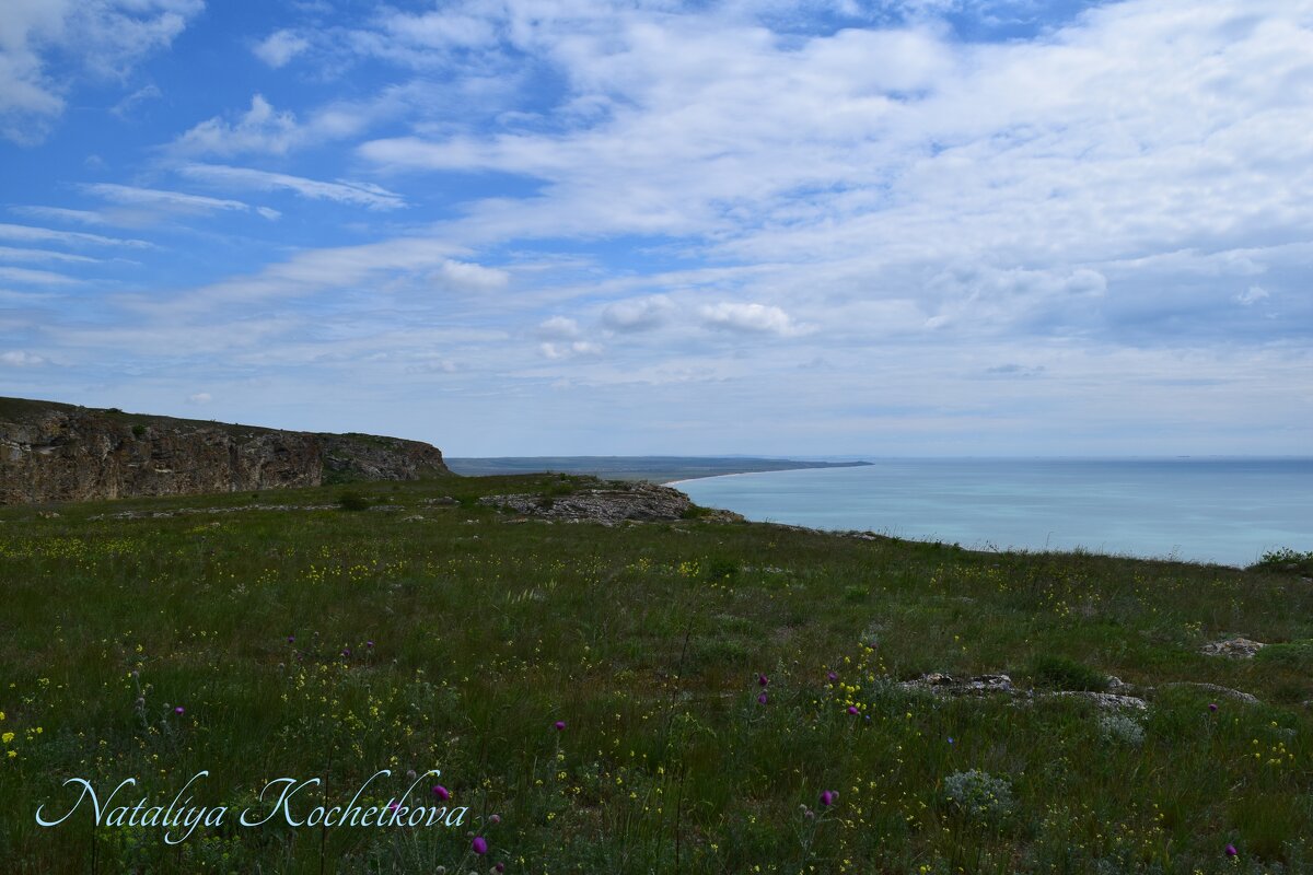 Природа Крыма - Amazing Cosmea